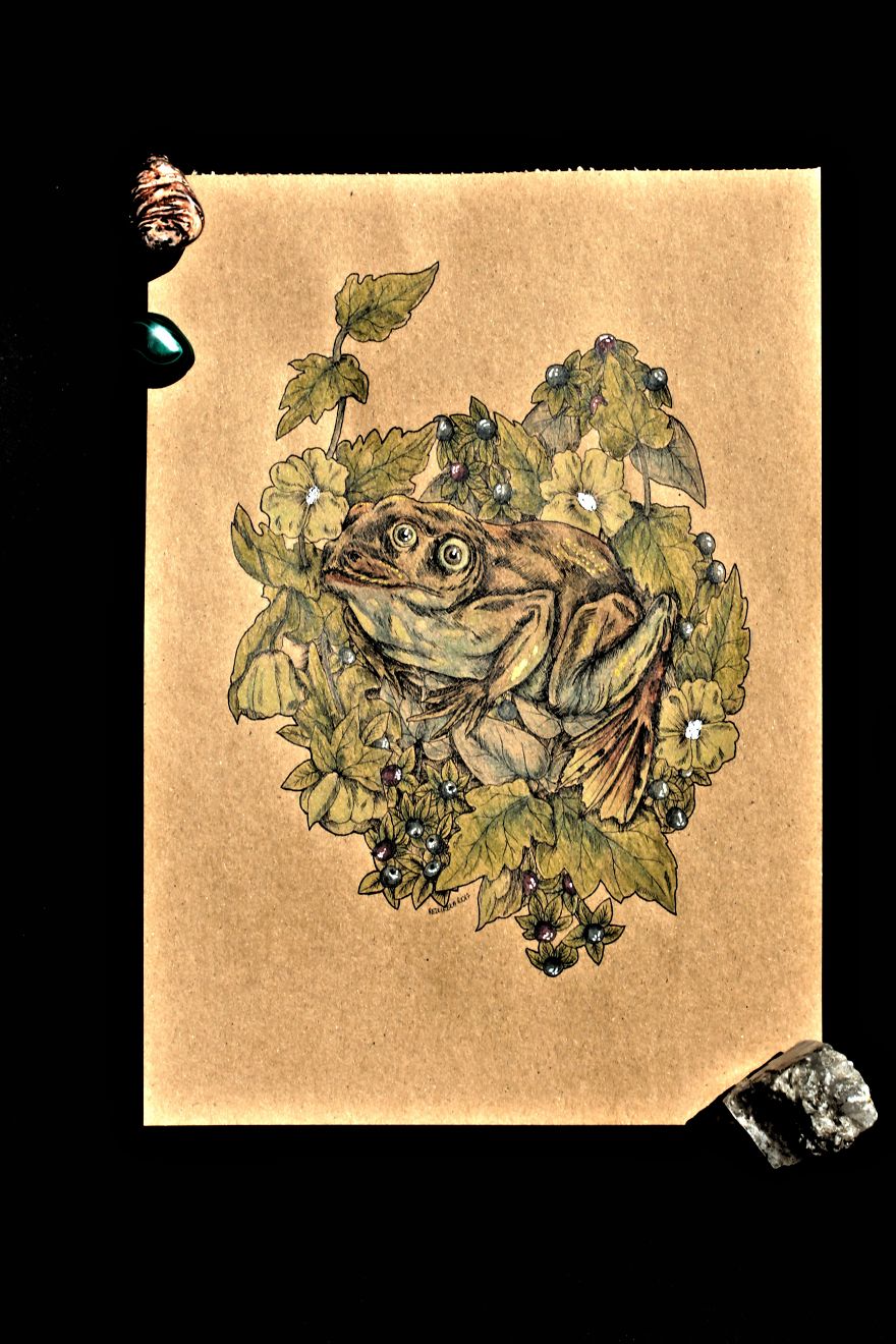 I Draw Animals With A Little Dose Of Magic I Draw Animals With A Little Dose Of Magic