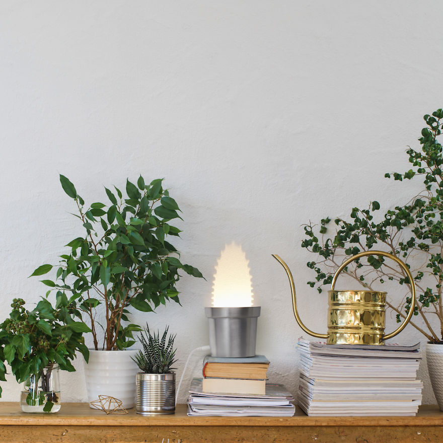 We Designed Wall Lamps That Turn Into Cactuses When Switched On We Designed Wall Lamps That Turn Into Cactuses When Switched On
