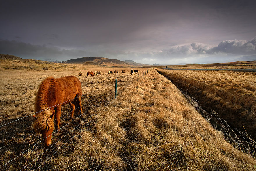 24 Photos Of Unreal Nordic Fairy Tale That I Took During My Trip To Iceland 24 Photos Of Unreal Nordic Fairy Tale That I Took During My Trip To Iceland