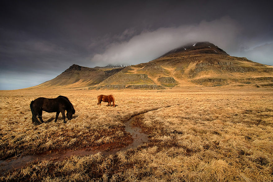 24 Photos Of Unreal Nordic Fairy Tale That I Took During My Trip To Iceland 24 Photos Of Unreal Nordic Fairy Tale That I Took During My Trip To Iceland