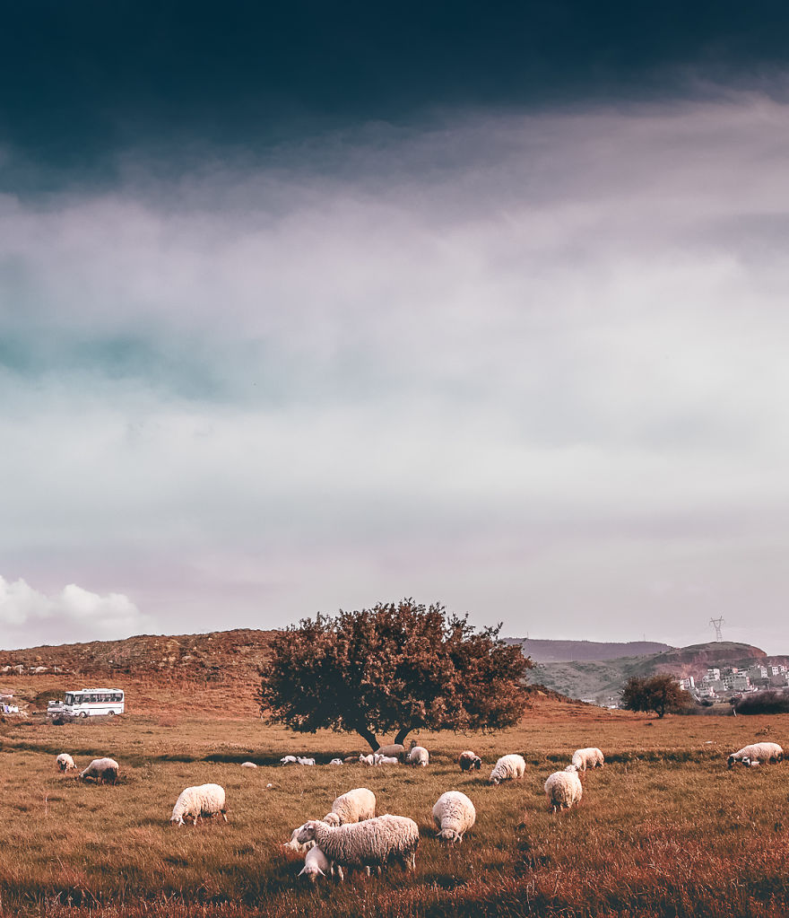 I Photograph The Beauty Of Turkey I Photograph The Beauty Of Turkey