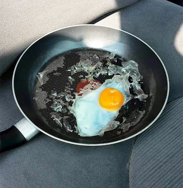Guy Leaves Egg In Car During Hot Day To Show Why You Should Never Leave Your Dog There