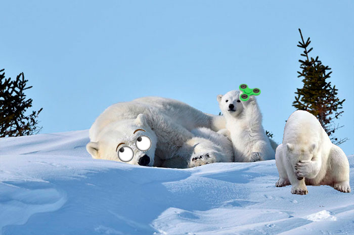 Polar Bear Cub Waves To Say &#8216;Hi&#8217; To The Photographer, Inspires A Hilarious Photoshop Battle