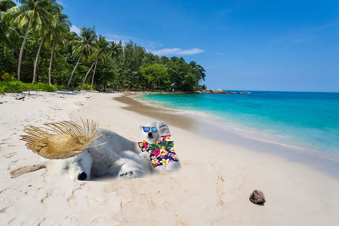 Polar Bear Cub Waves To Say &#8216;Hi&#8217; To The Photographer, Inspires A Hilarious Photoshop Battle