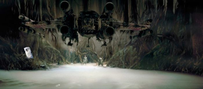 Polar Bear Cub Waves To Say &#8216;Hi&#8217; To The Photographer, Inspires A Hilarious Photoshop Battle