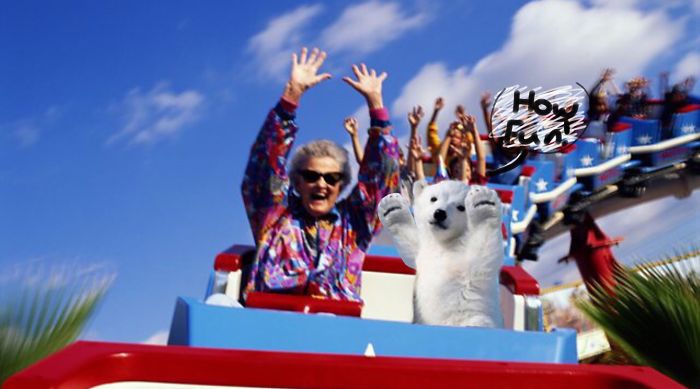Polar Bear Cub Waves To Say &#8216;Hi&#8217; To The Photographer, Inspires A Hilarious Photoshop Battle