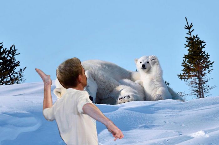 Polar Bear Cub Waves To Say &#8216;Hi&#8217; To The Photographer, Inspires A Hilarious Photoshop Battle