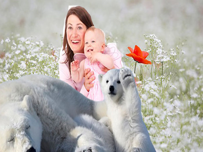 Polar Bear Cub Waves To Say &#8216;Hi&#8217; To The Photographer, Inspires A Hilarious Photoshop Battle