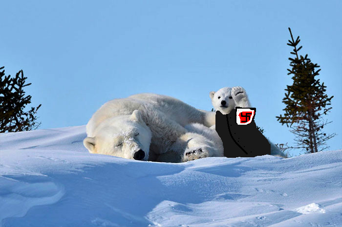 Polar Bear Cub Waves To Say &#8216;Hi&#8217; To The Photographer, Inspires A Hilarious Photoshop Battle