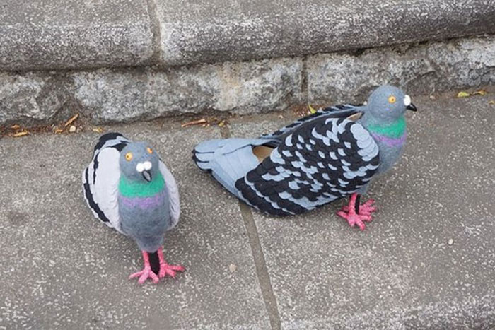 People Are Freaking Out About This Japanese Woman Walking In Pigeon Shoes People Are Freaking Out About This Japanese Woman Walking In Pigeon Shoes