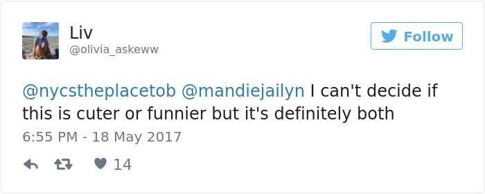 School Includes Teen’s Dog In Yearbook, And That’s No Accident School Includes Teen’s Dog In Yearbook, And That’s No Accident