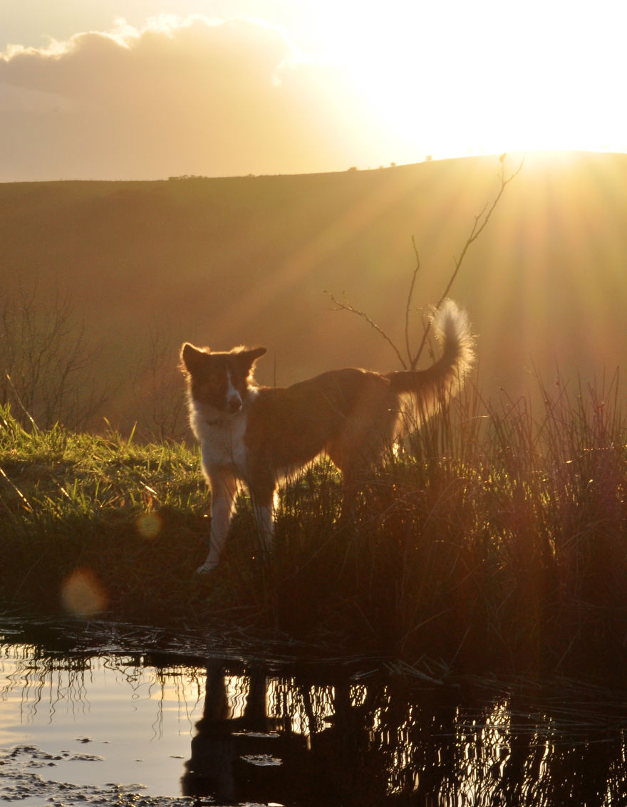 My Family Bought 27 Animals And Moved Up A Mountain My Family Bought 27 Animals And Moved Up A Mountain