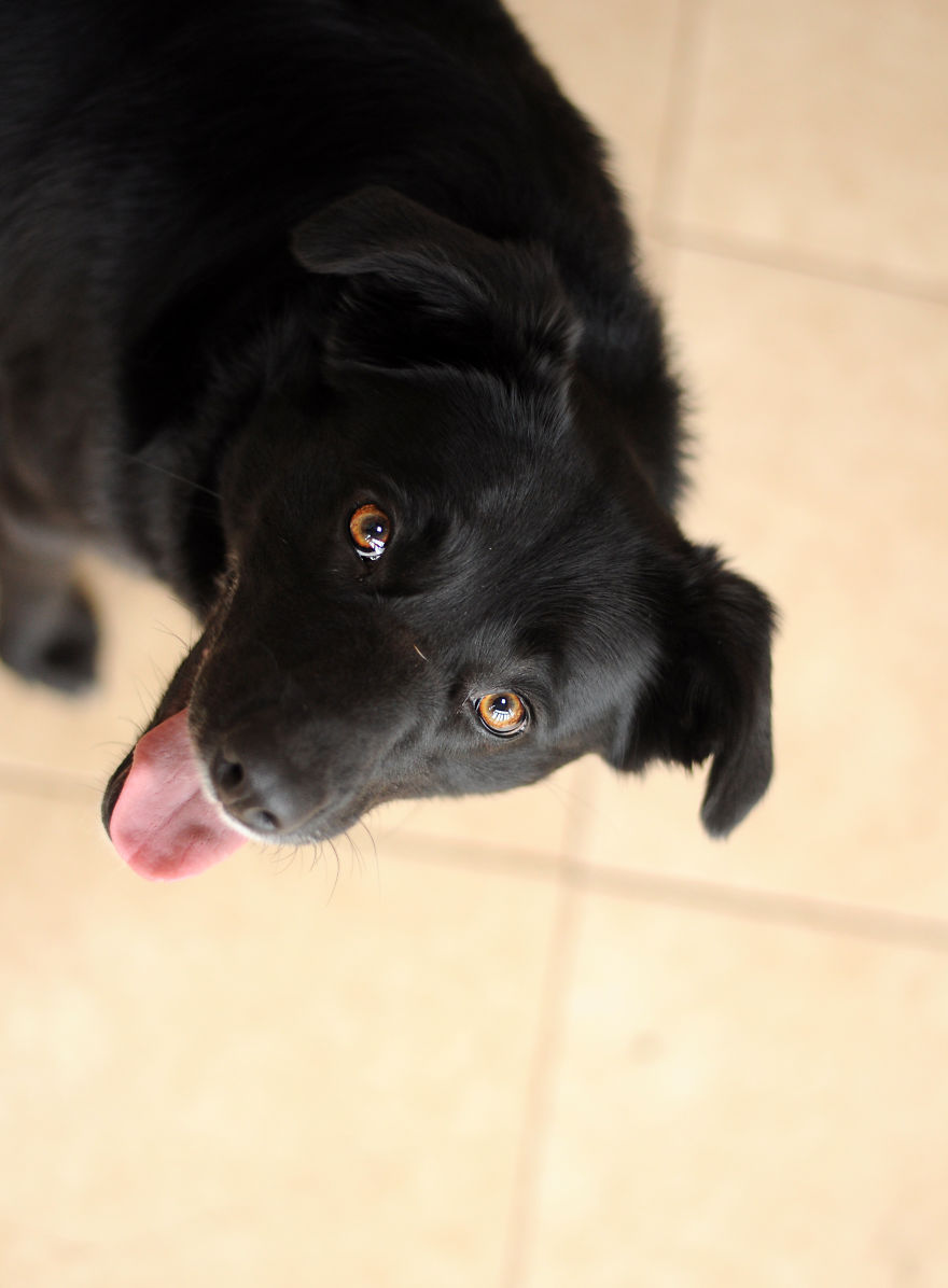 My Family Bought 27 Animals And Moved Up A Mountain My Family Bought 27 Animals And Moved Up A Mountain