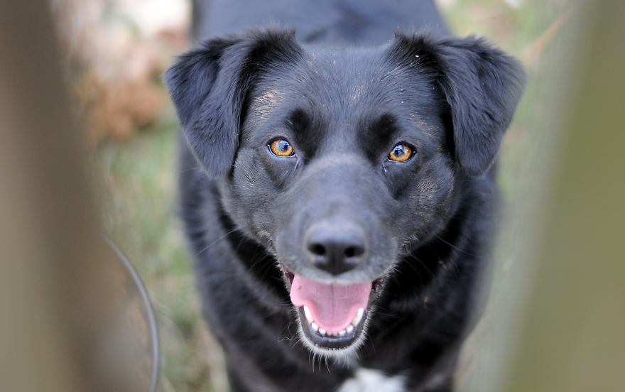 My Family Bought 27 Animals And Moved Up A Mountain My Family Bought 27 Animals And Moved Up A Mountain