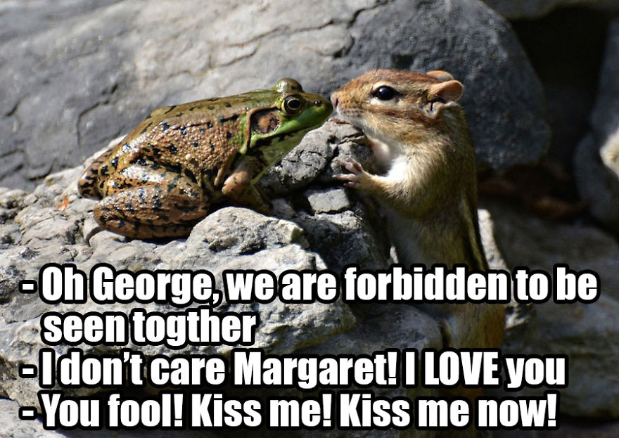 Saw The Winners Of The ‘Comedy Wildlife Photography Awards’ And Had To Add Some Captions Saw The Winners Of The ‘Comedy Wildlife Photography Awards’ And Had To Add Some Captions