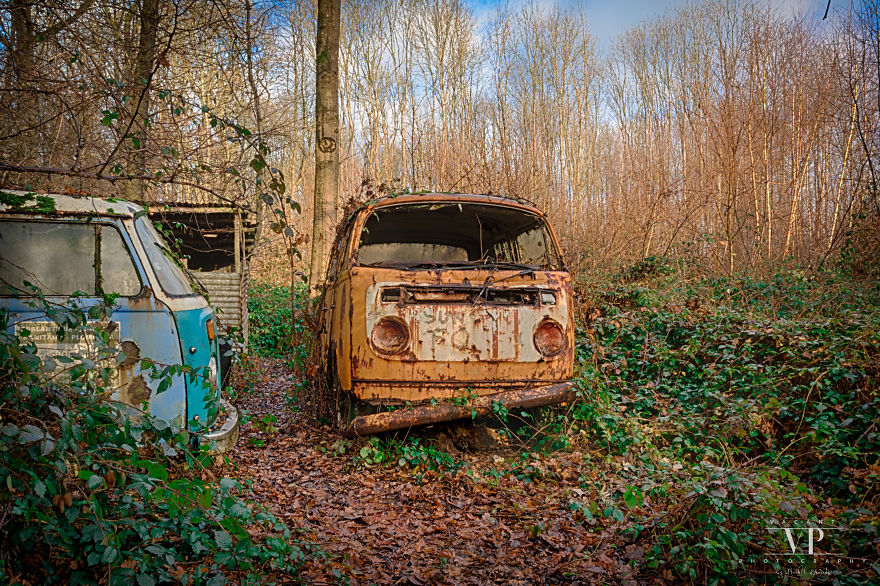 I Photographed Old Cars Lost In The Woods I Photographed Old Cars Lost In The Woods