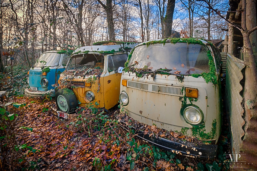 I Photographed Old Cars Lost In The Woods I Photographed Old Cars Lost In The Woods