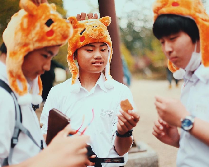 Beautiful Life In Nara, Japan