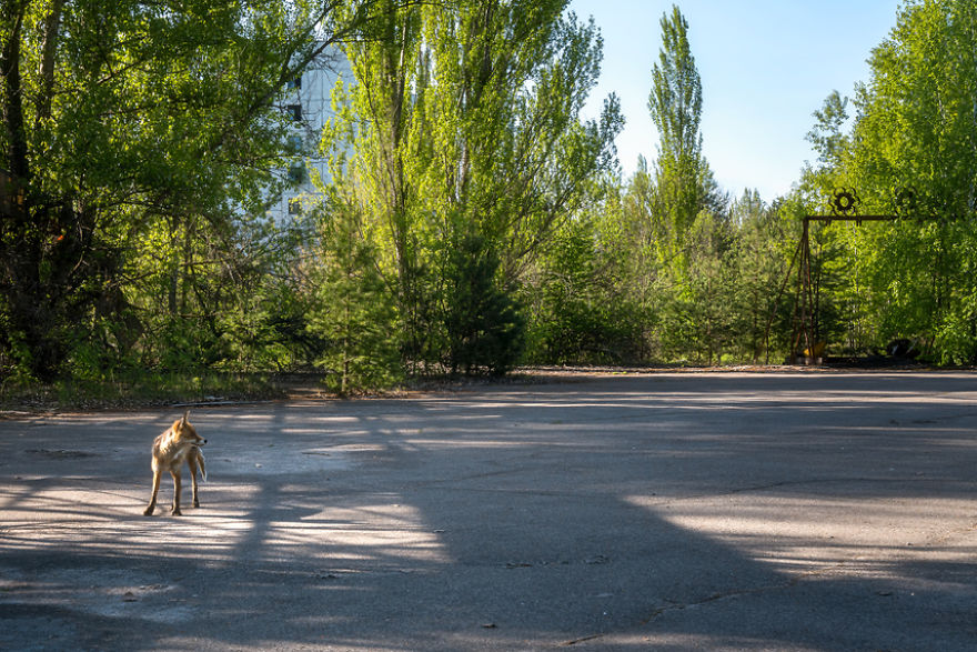 I Visited The Abandoned City Of Pripyat I Visited The Abandoned City Of Pripyat