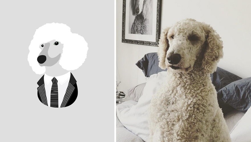 What If Dogs Dressed According To Their Personality What If Dogs Dressed According To Their Personality