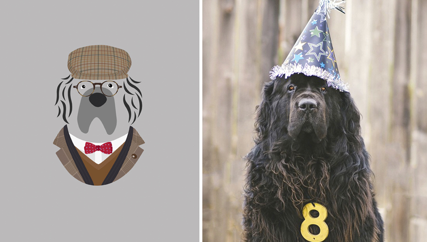 What If Dogs Dressed According To Their Personality What If Dogs Dressed According To Their Personality