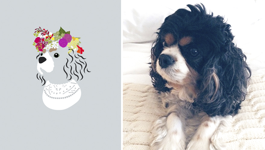 What If Dogs Dressed According To Their Personality What If Dogs Dressed According To Their Personality