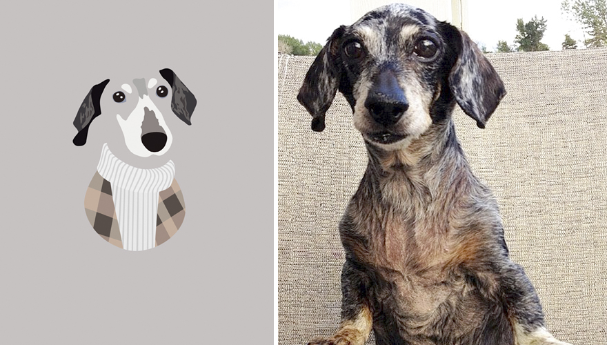 What If Dogs Dressed According To Their Personality What If Dogs Dressed According To Their Personality