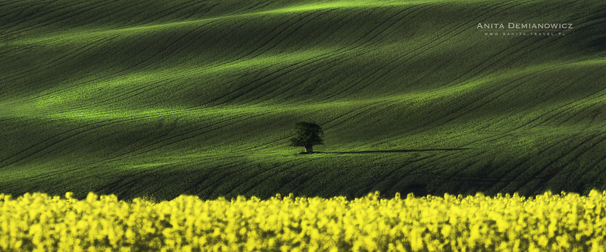 I Captured The Most Beautiful Places In South Moravian Region In Czech Republic