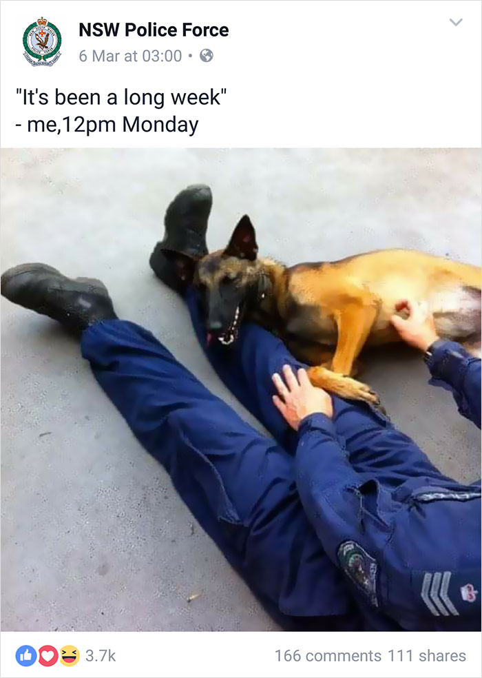 NSW Police Is Winning The Internet With Their Awesome Humor NSW Police Is Winning The Internet With Their Awesome Humor