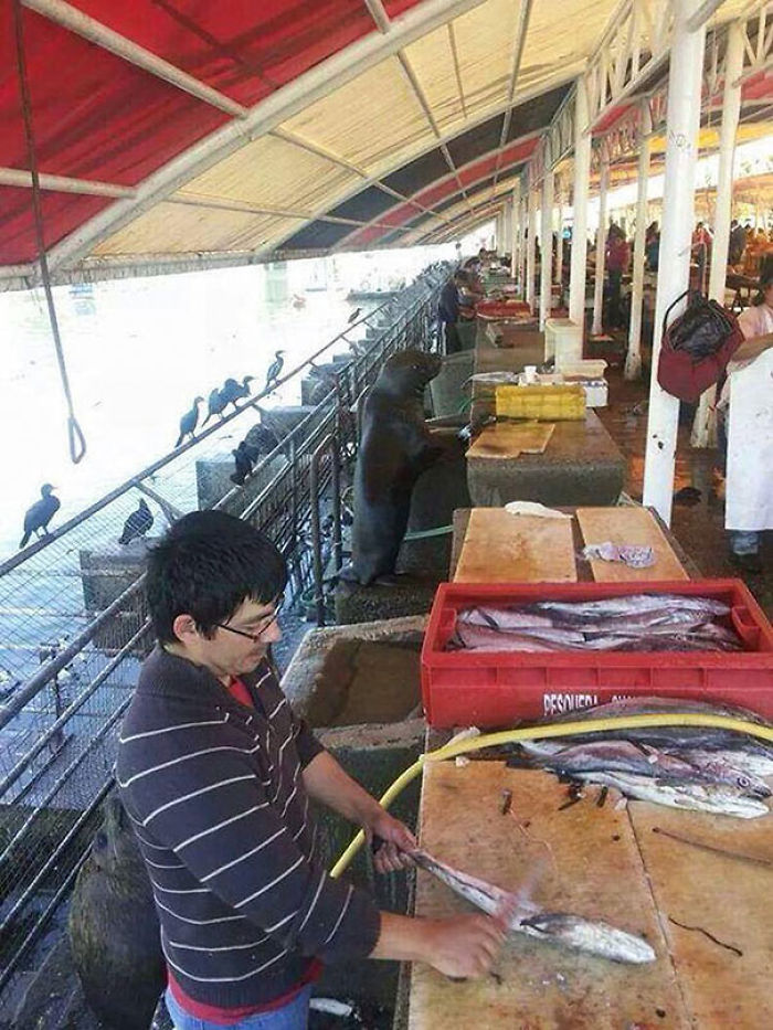 One Of These Things Is Not Like The Other (145 pics) One Of These Things Is Not Like The Other (145 pics)