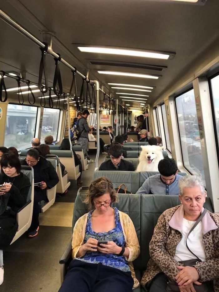 One Of These Things Is Not Like The Other (145 pics) One Of These Things Is Not Like The Other (145 pics)