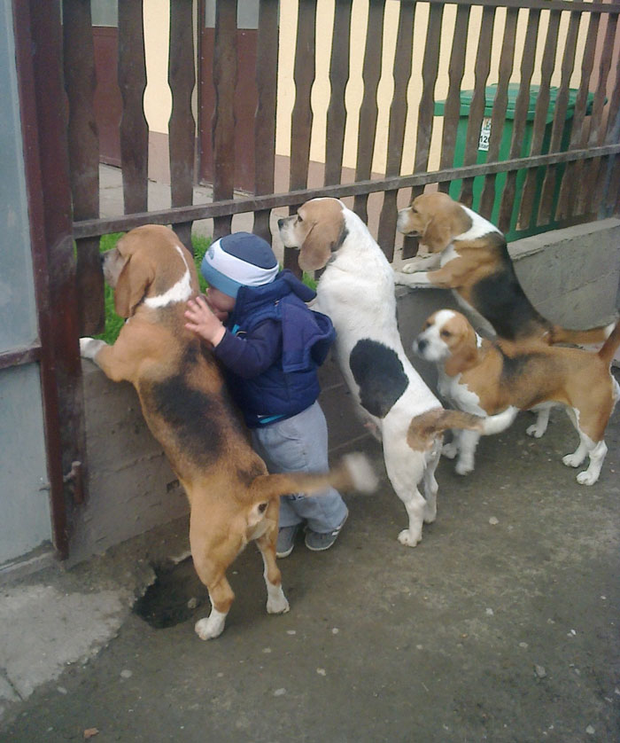 One Of These Things Is Not Like The Other (145 pics) One Of These Things Is Not Like The Other (145 pics)