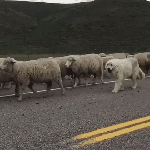 One Of These Things Is Not Like The Other (145 pics) One Of These Things Is Not Like The Other (145 pics)