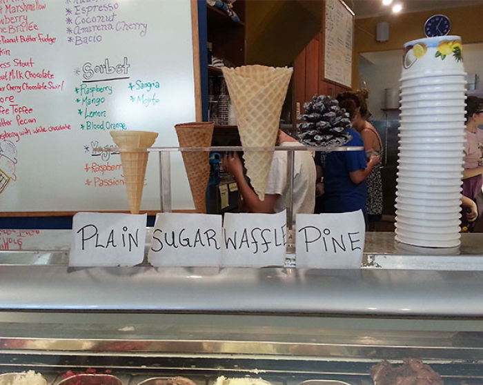 One Of These Things Is Not Like The Other (145 pics) One Of These Things Is Not Like The Other (145 pics)