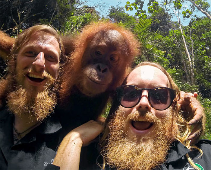 One Of These Things Is Not Like The Other (145 pics) One Of These Things Is Not Like The Other (145 pics)