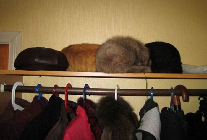 One Of These Things Is Not Like The Other (145 pics) One Of These Things Is Not Like The Other (145 pics)