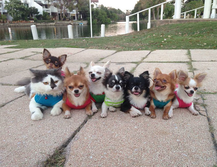 One Of These Things Is Not Like The Other (145 pics) One Of These Things Is Not Like The Other (145 pics)