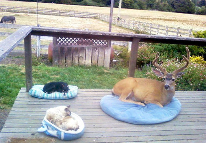 One Of These Things Is Not Like The Other (145 pics) One Of These Things Is Not Like The Other (145 pics)