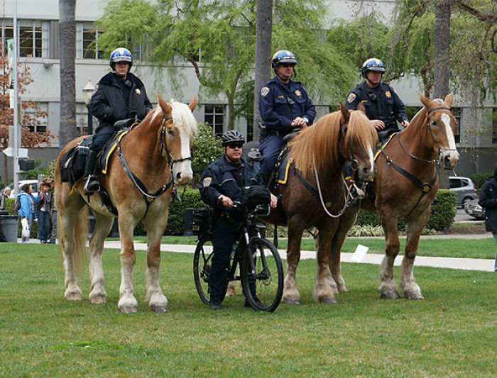 One Of These Things Is Not Like The Other (145 pics) One Of These Things Is Not Like The Other (145 pics)