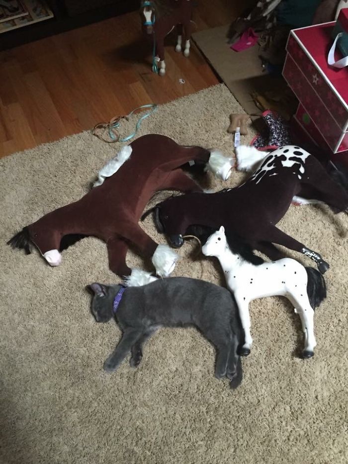 One Of These Things Is Not Like The Other (145 pics) One Of These Things Is Not Like The Other (145 pics)