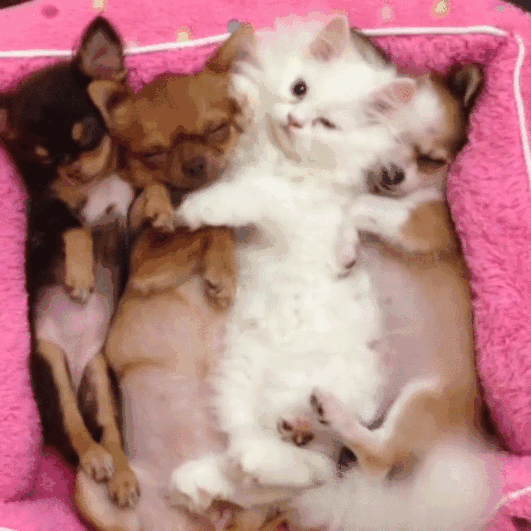 One Of These Things Is Not Like The Other (145 pics) One Of These Things Is Not Like The Other (145 pics)