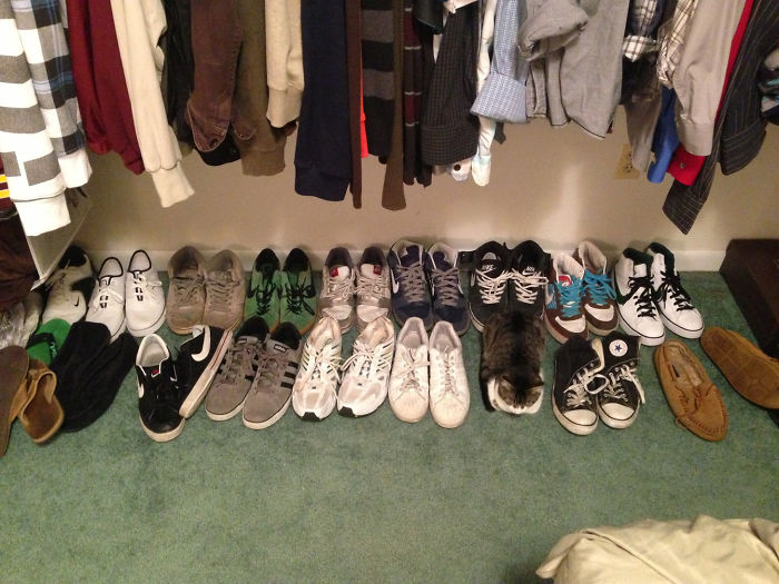 One Of These Things Is Not Like The Other (145 pics) One Of These Things Is Not Like The Other (145 pics)