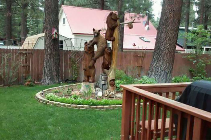 One Of These Things Is Not Like The Other (145 pics) One Of These Things Is Not Like The Other (145 pics)