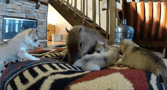 One Of These Things Is Not Like The Other (145 pics) One Of These Things Is Not Like The Other (145 pics)