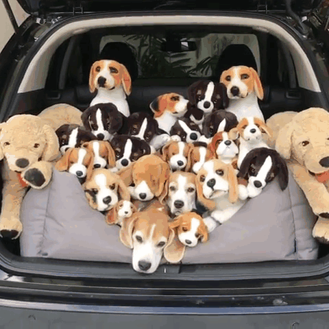 One Of These Things Is Not Like The Other (145 pics) One Of These Things Is Not Like The Other (145 pics)