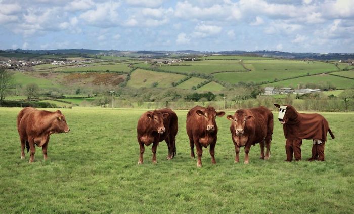 One Of These Things Is Not Like The Other (145 pics) One Of These Things Is Not Like The Other (145 pics)