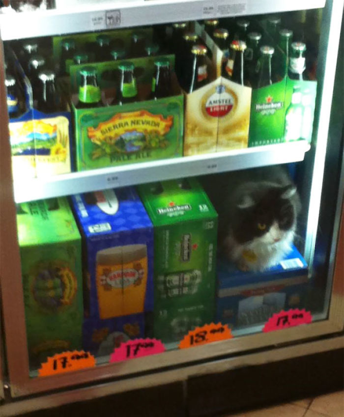 One Of These Things Is Not Like The Other (145 pics) One Of These Things Is Not Like The Other (145 pics)