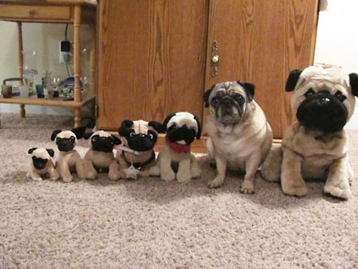 One Of These Things Is Not Like The Other (145 pics) One Of These Things Is Not Like The Other (145 pics)