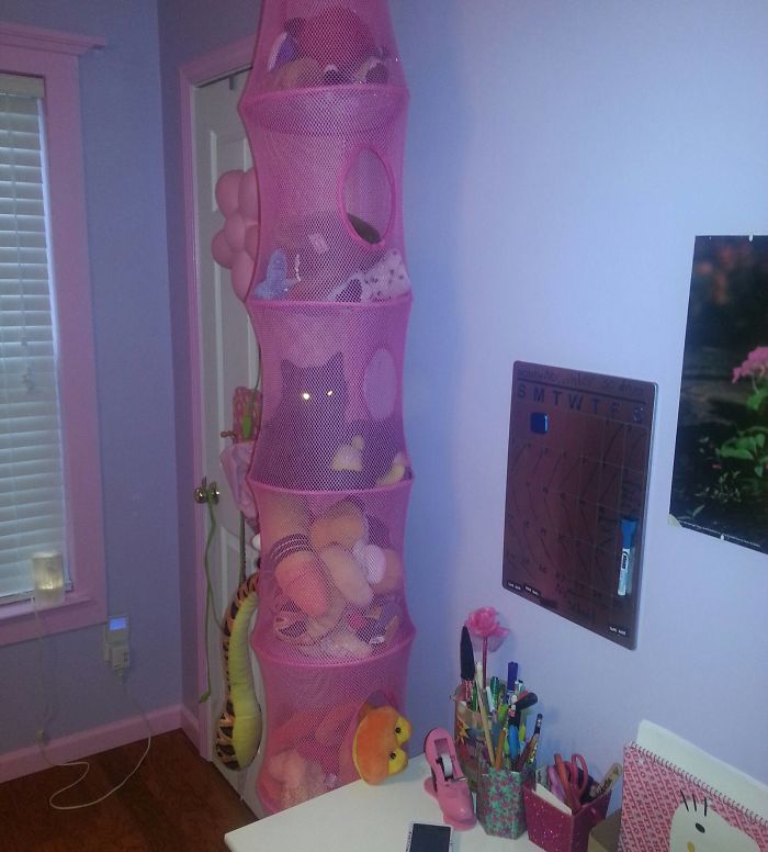 One Of These Things Is Not Like The Other (145 pics) One Of These Things Is Not Like The Other (145 pics)