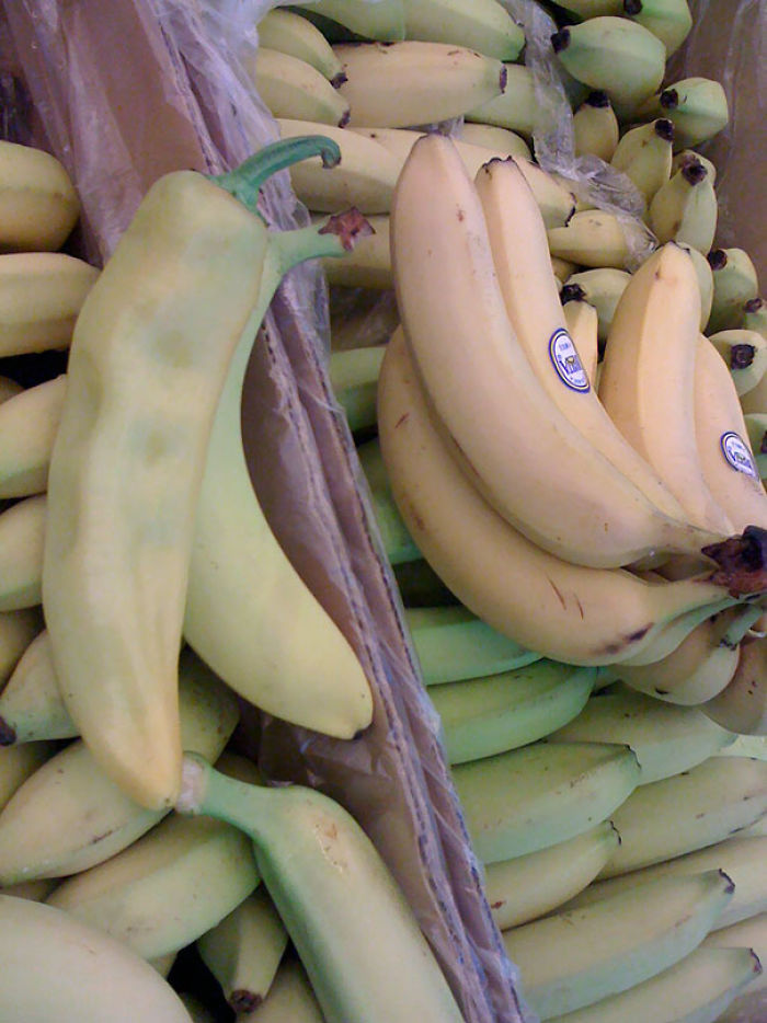 One Of These Things Is Not Like The Other (145 pics) One Of These Things Is Not Like The Other (145 pics)